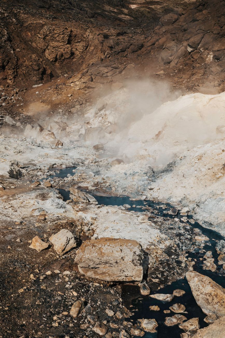 Geothermal steaming valley in Rotorua